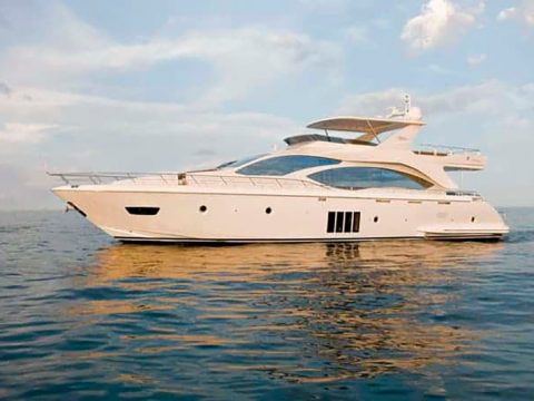 templines yachts theme templines yachts theme