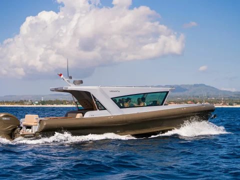 vedanta 41 vedanta 41